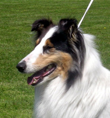 Ruffenuff Dirlandarlandee