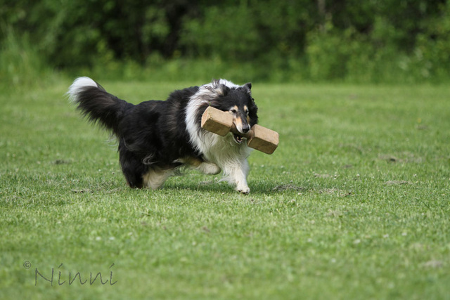 Ruffenuff Much Too Much