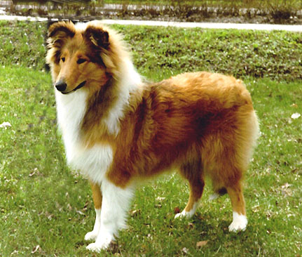Ruffenuff Perla Della Donna
