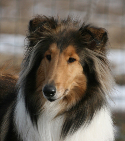 Ruffenuff Amaranthe