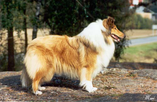 Ruffenuff Perla Della Donna