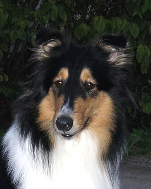 Ruffenuff Macadamia Dulce