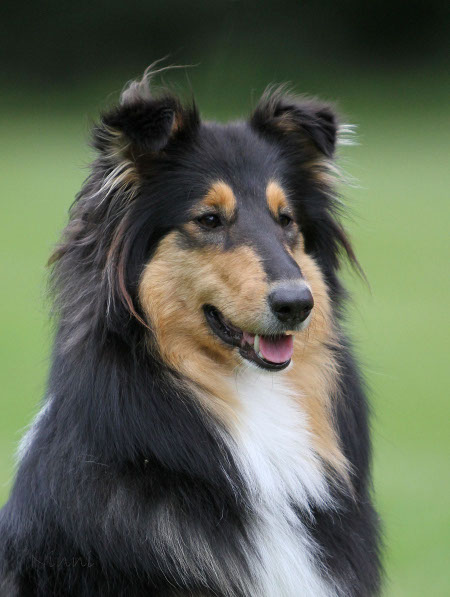 Ruffenuff As A Matter Of Black