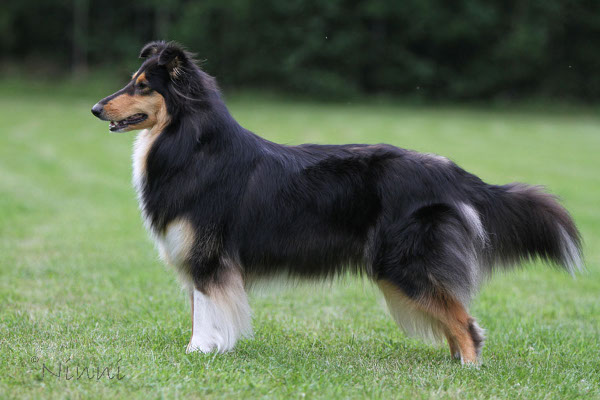 Ruffenuff As A Matter Of Black