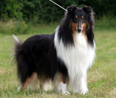 Ruffenuff Wonder Of Life
