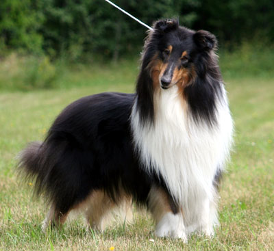 Ruffenuff Wonder Of Life