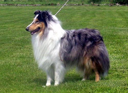 Ruffenuff Great Balls Of Fire